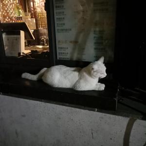 色克斯AV搬运工
